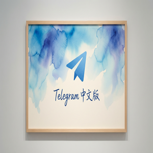 Telegram 中文版下载后打不开怎么办？常见问题解决方案（无套路） - Telegram 官网